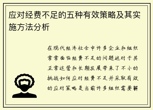应对经费不足的五种有效策略及其实施方法分析