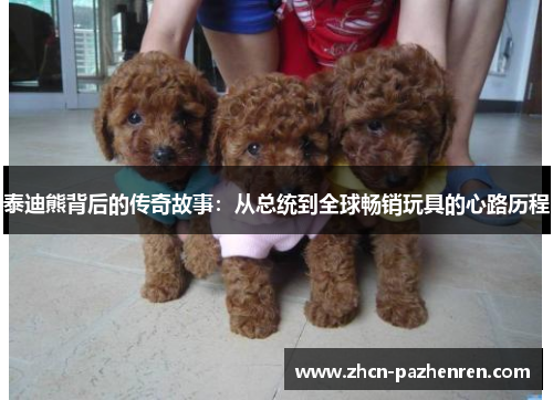 泰迪熊背后的传奇故事：从总统到全球畅销玩具的心路历程