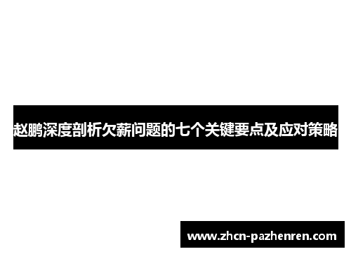 赵鹏深度剖析欠薪问题的七个关键要点及应对策略
