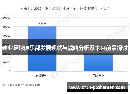 建业足球俱乐部发展现状与战略分析及未来前景探讨
